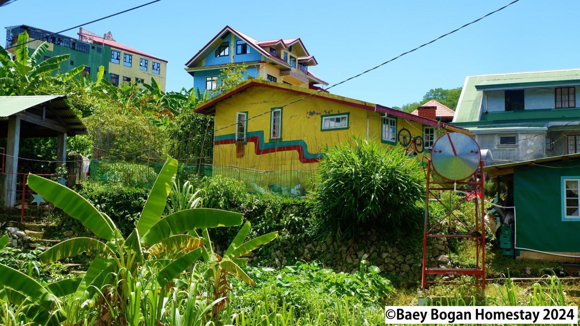 Baey Bogan Homestay Sagada Eksteriør bilde